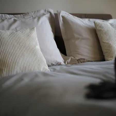 Venere Катания