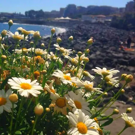 Venere Отель типа 